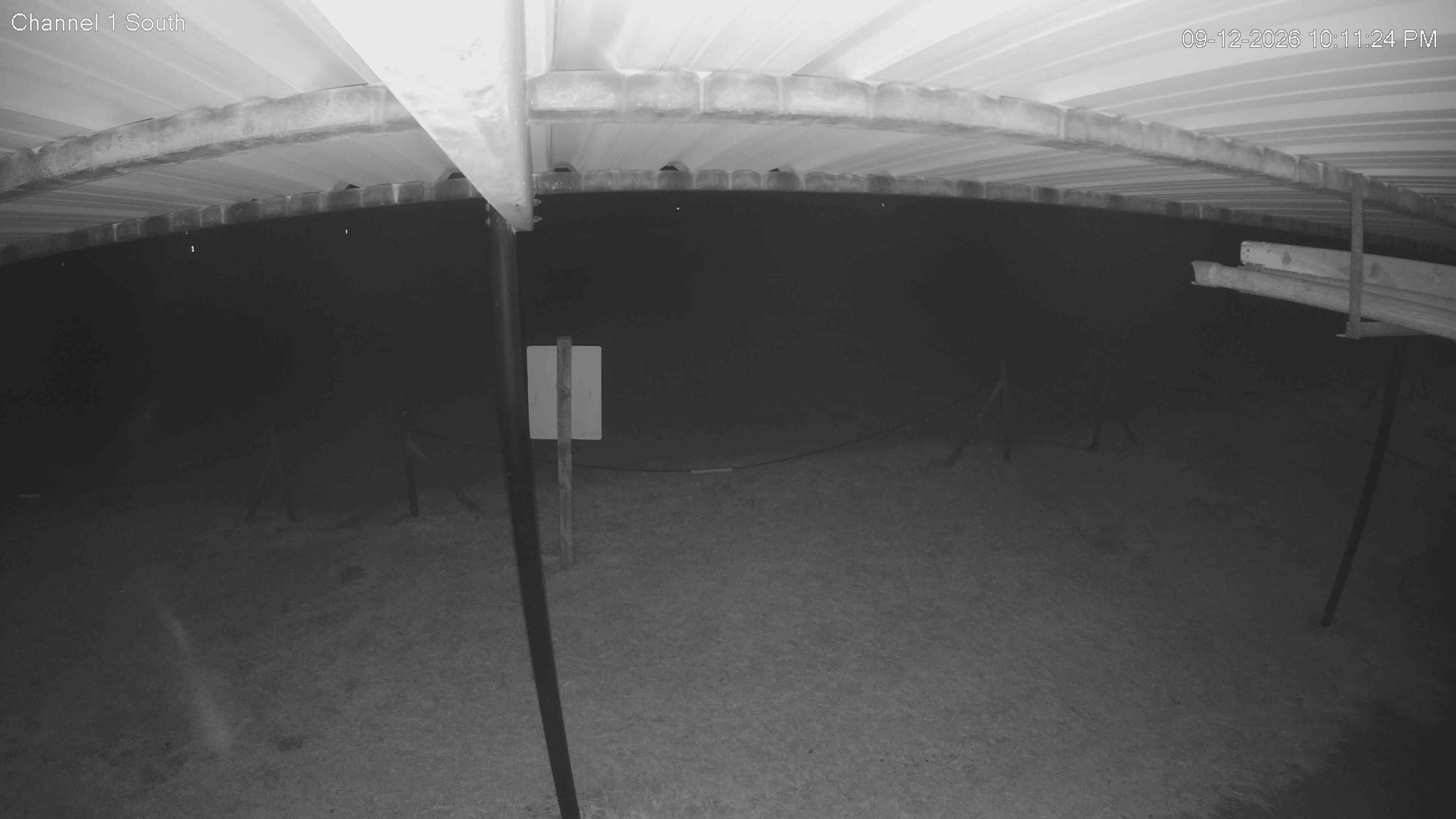 camera image